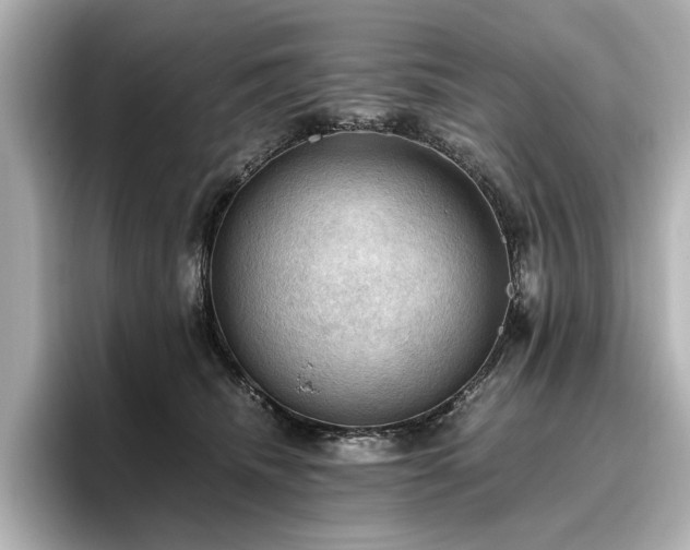 X0000096640468200802051132