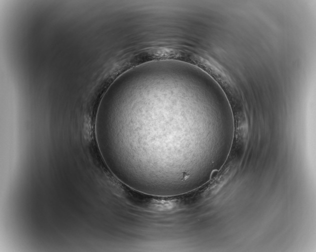 X0000096640469200802051132