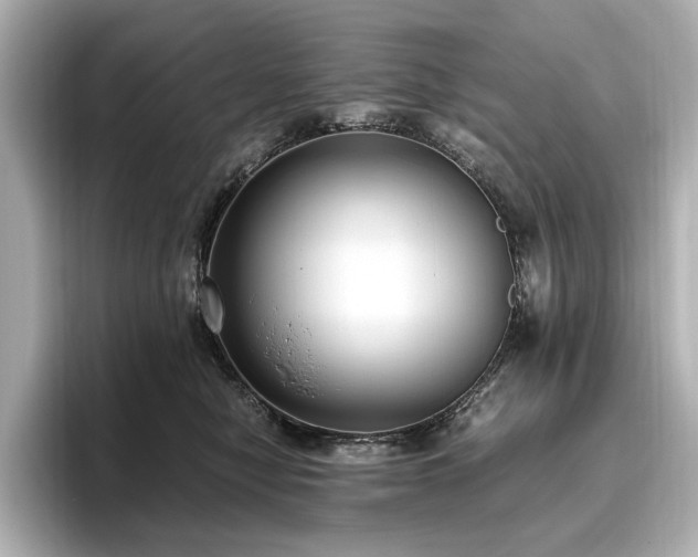 X0000096640470200802051132