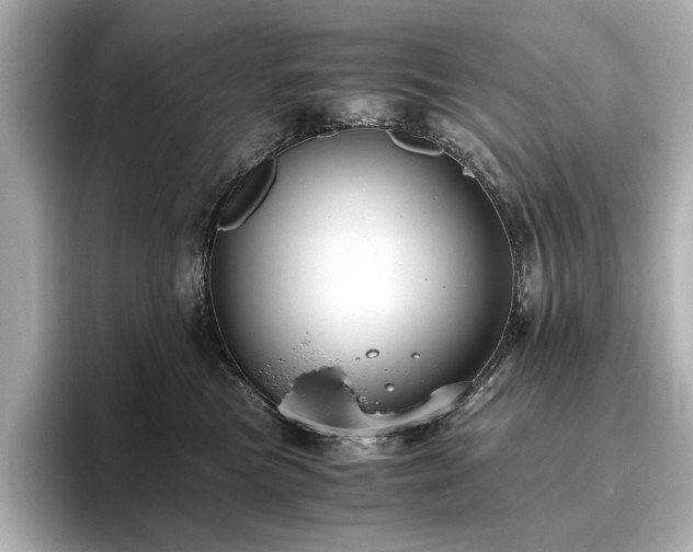 X0000096640473200802051132