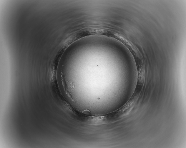 X0000096640474200802051132