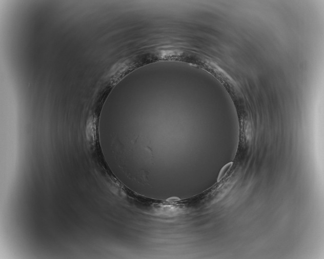 X0000096640475200802051132