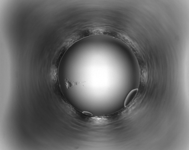 X0000096640477200802051132