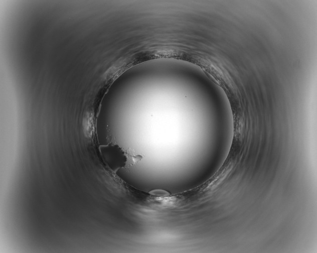 X0000096640478200802051132