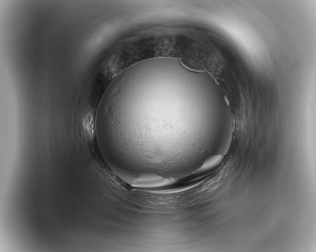 X0000096640479200802051132