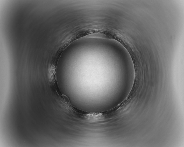X0000096640480200802051132