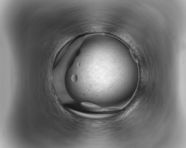 X0000096640481200802051131