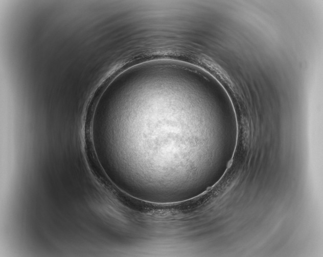 X0000096640482200802051131