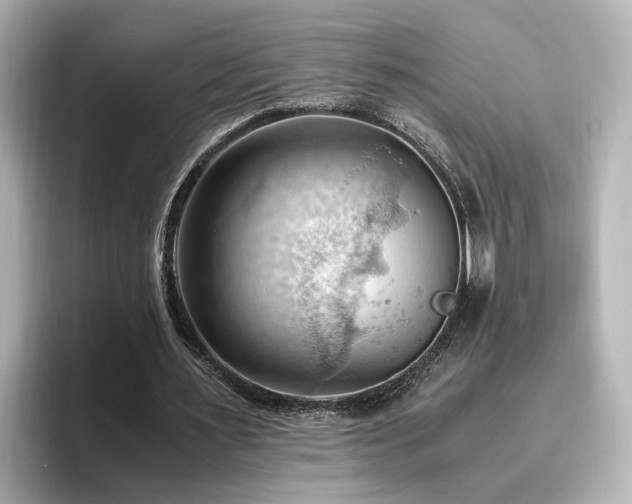 X0000096640483200802051131