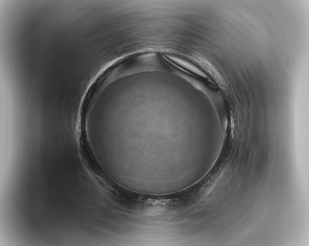 X0000096640484200802051131