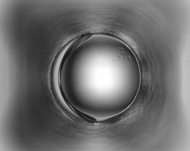X0000096640485200802051131