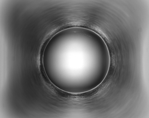 X0000096640486200802051131
