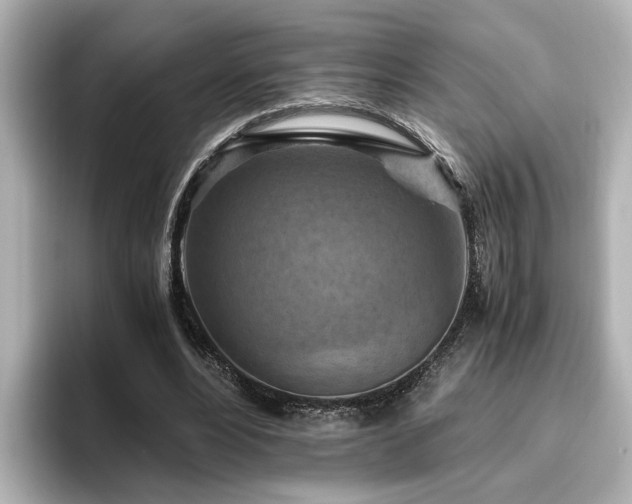 X0000096640488200802051131
