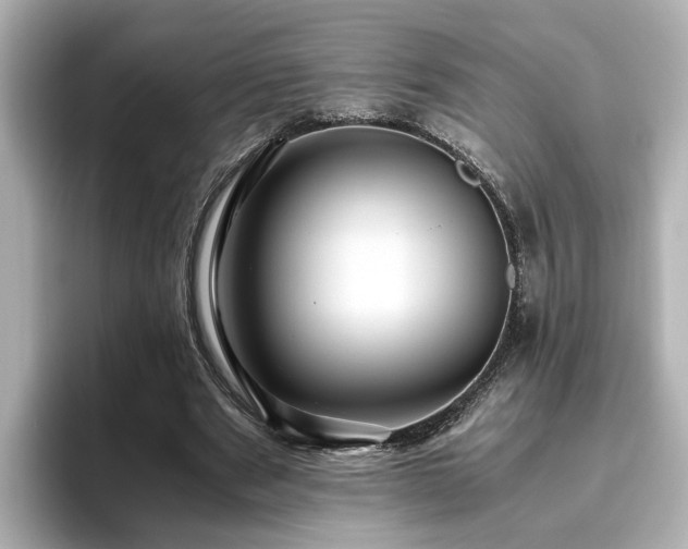 X0000096640489200802051131