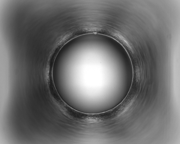 X0000096640490200802051131