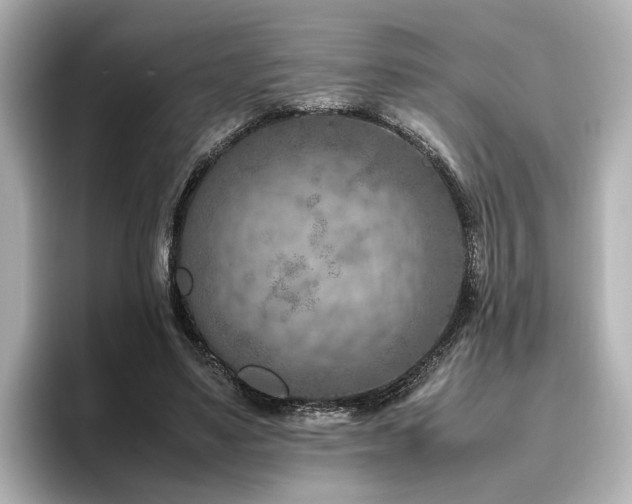 X0000096640491200802051131