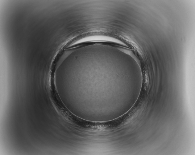X0000096640492200802051131