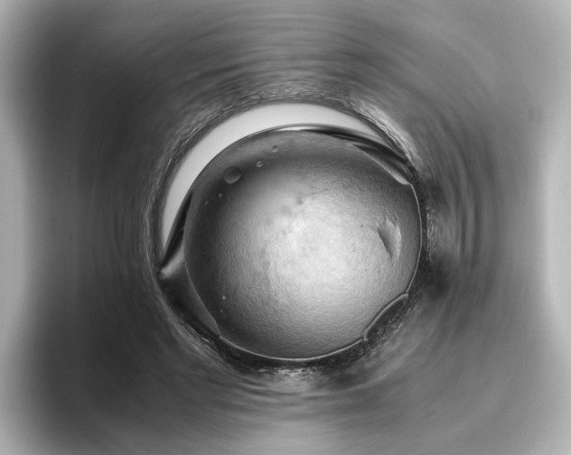X0000096640493200802051131