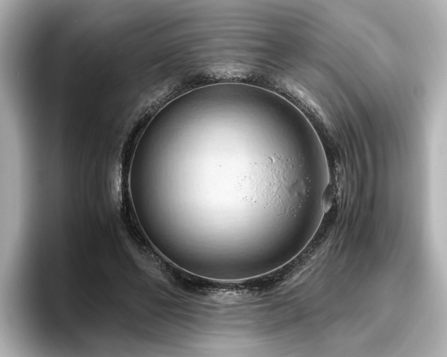 X0000096640494200802051131