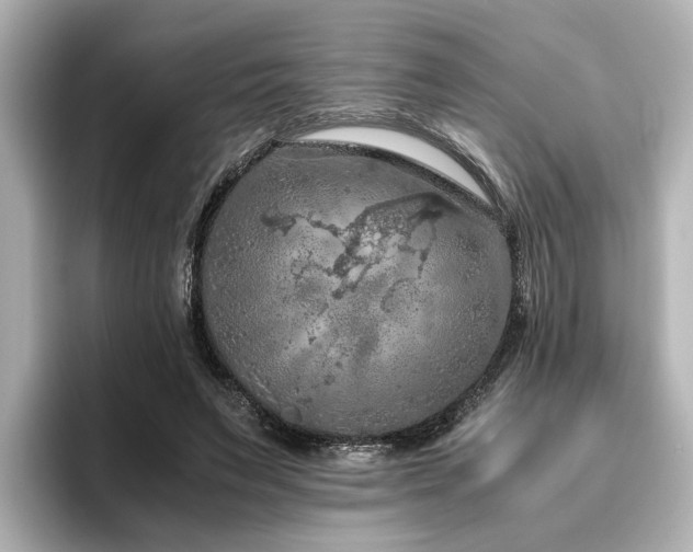 X0000096640495200802051131