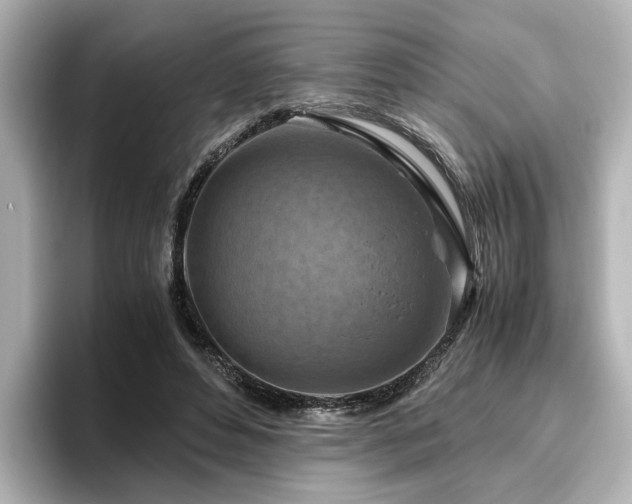X0000096640496200802051131
