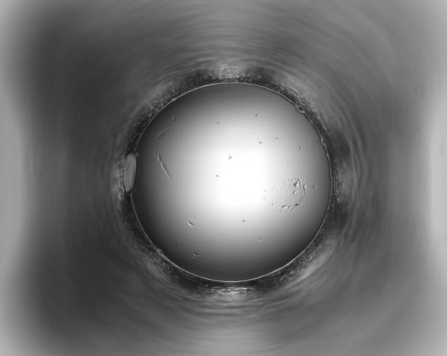 X0000096640497200802051131