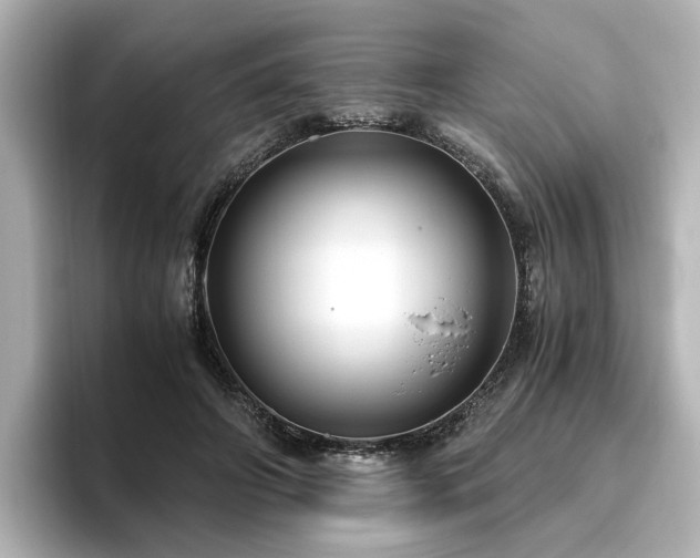 X0000096640498200802051131