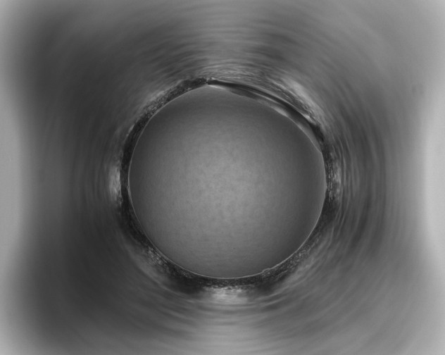 X0000096640500200802051131