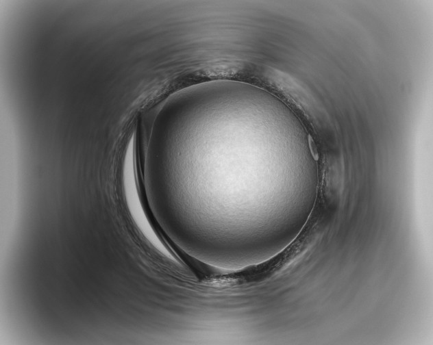 X0000096640501200802051131