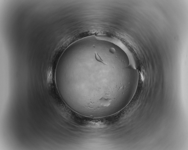 X0000096640502200802051131