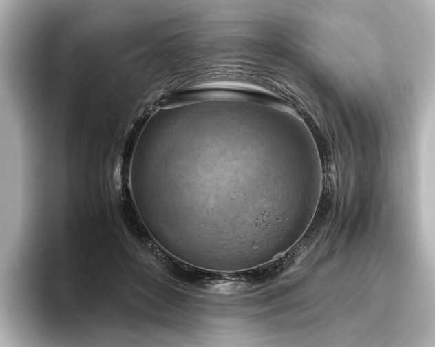 X0000096640504200802051131