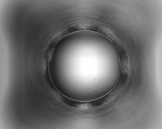 X0000096640505200802051131