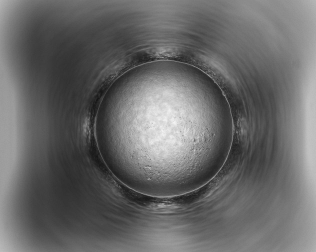 X0000096640506200802051131