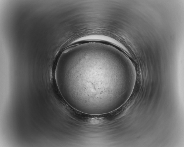 X0000096640508200802051131