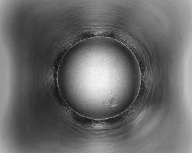 X0000096640510200802051131