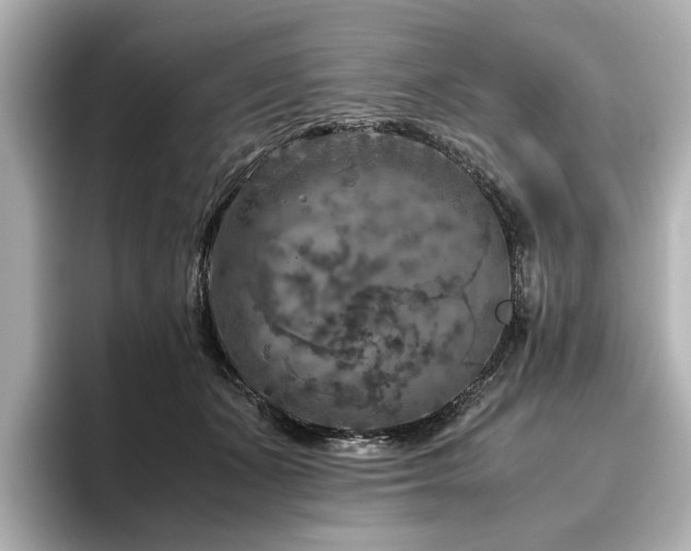 X0000096640511200802051131