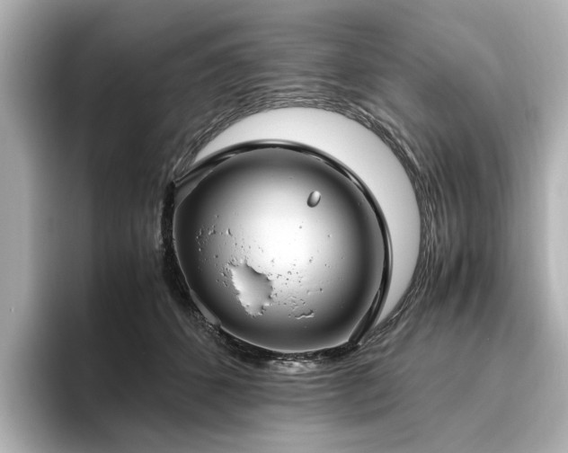 X0000096640512200802051131