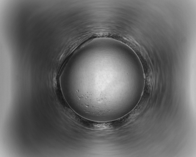 X0000096640516200802051131