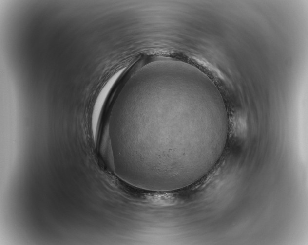 X0000096640517200802051131