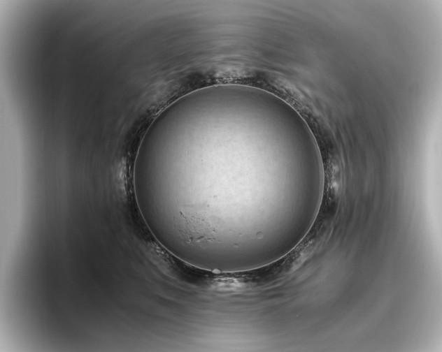 X0000096640519200802051131