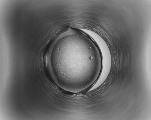 X0000096640520200802051131