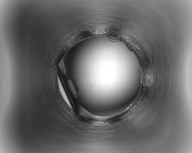 X0000096640521200802051131