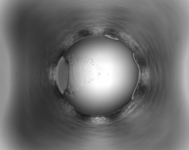X0000096640525200802051131