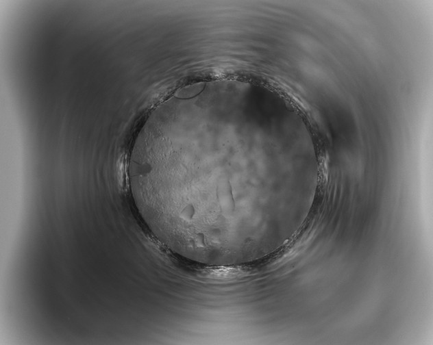 X0000096640527200802051131