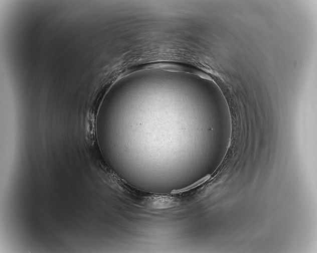 X0000096640528200802051131