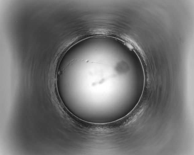 X0000096640529200802051130