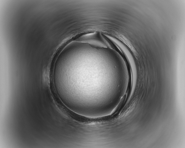 X0000096640530200802051130
