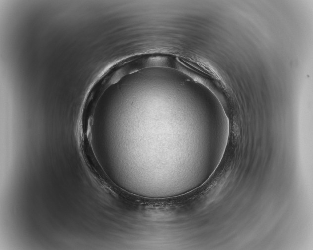 X0000096640532200802051130