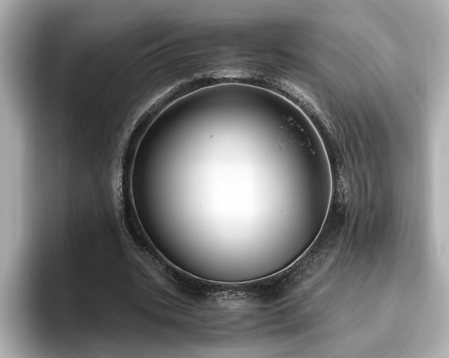 X0000096640535200802051130