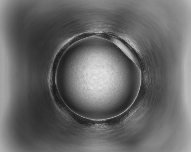 X0000096640536200802051130